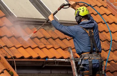 Démoussage et hydrofuge de toiture à Hautefond